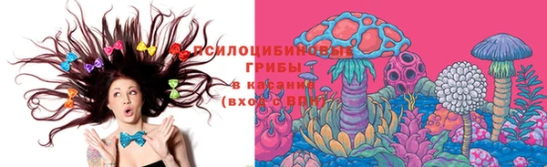 apvp Абаза
